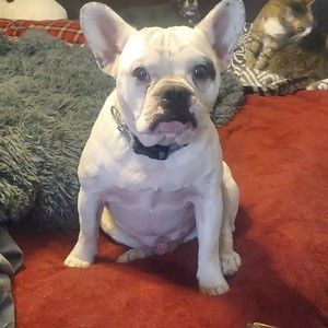 Meet your Posher, Posh